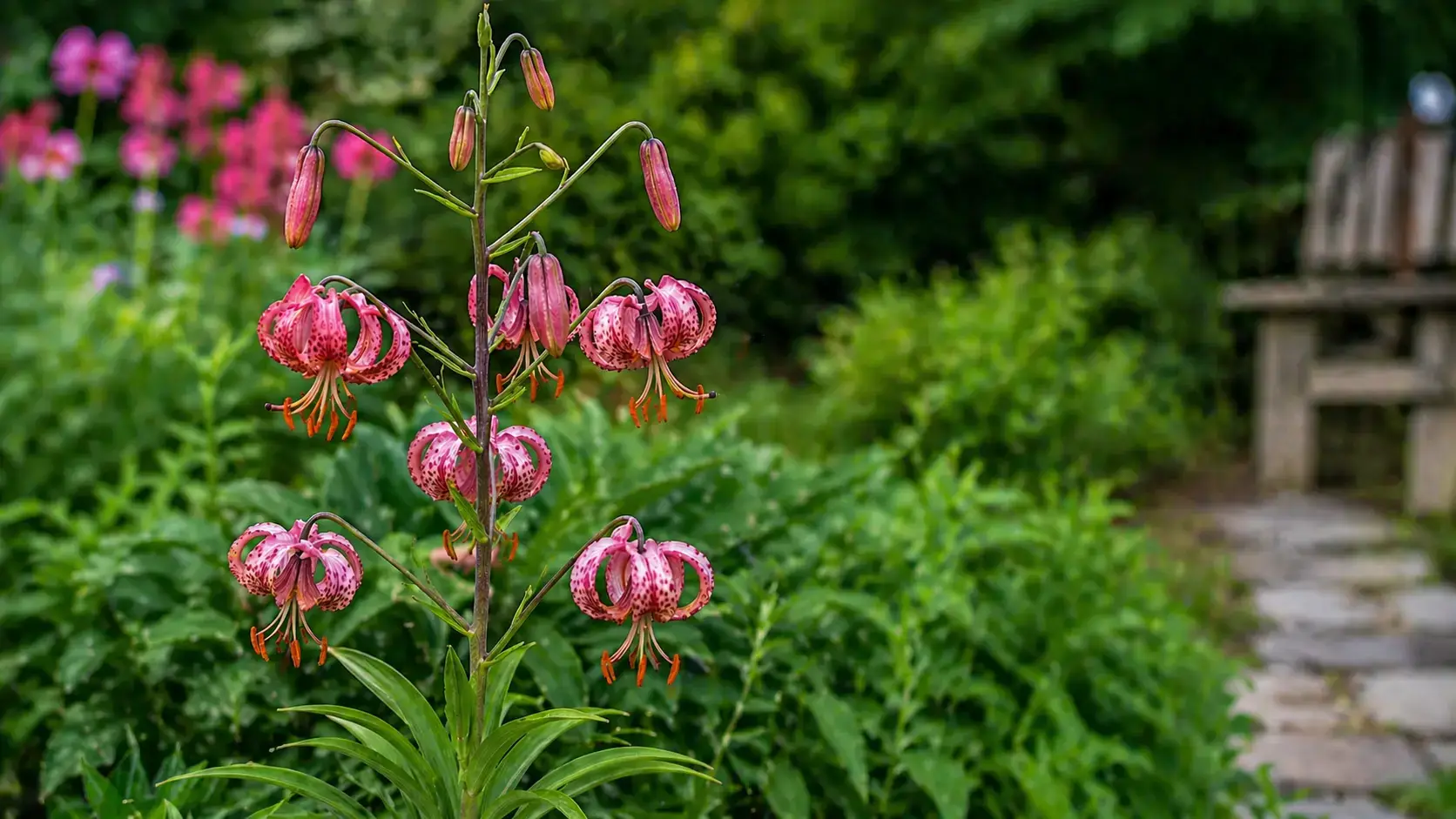 Здорові рослини
